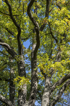 Fotos-Nationalpark-Kellerwald