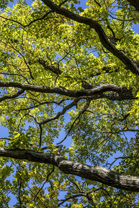 Fotos-Nationalpark-Kellerwald