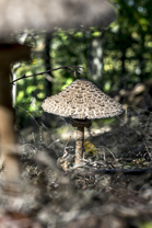 Fotos-Nationalpark-Kellerwald