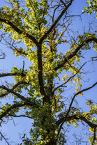 Fotos-Nationalpark-Kellerwald