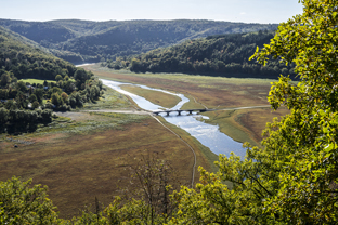 Fotos-Nationalpark-Kellerwald