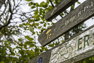 Fotos-Nationalpark-Kellerwald
