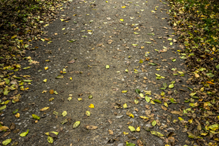 Fotos-Nationalpark-Kellerwald