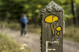 Fotos-Nationalpark-Kellerwald