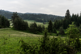 Fotos-Kranjska-Slowenien