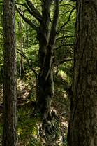 Fotos-Kranjska-Slowenien