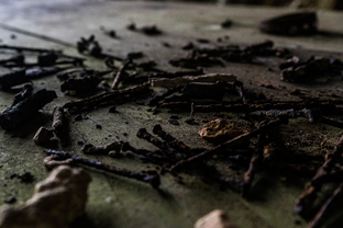 Fotos-Kranjska-Slowenien