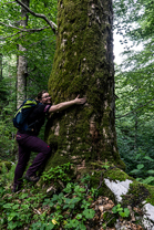 Fotos-Kranjska-Slowenien