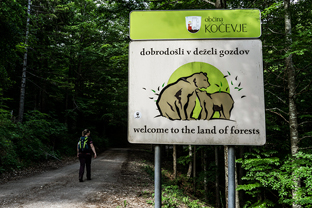 Fotos-Kranjska-Slowenien