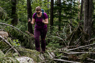 Fotos-Kranjska-Slowenien