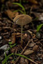 Fotos-Kranjska-Slowenien