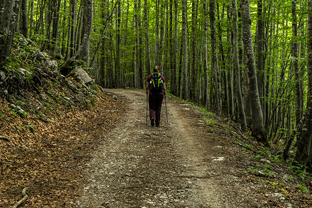 Fotos-Kranjska-Slowenien