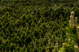 Fotos-Kranjska-Slowenien