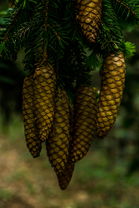 Fotos-Kranjska-Slowenien