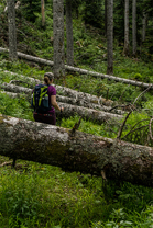 Fotos-Kranjska-Slowenien
