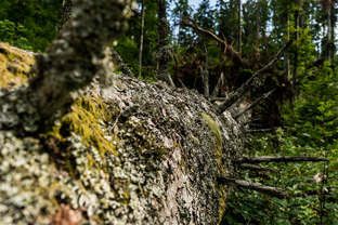 Fotos-Kranjska-Slowenien