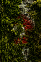 Fotos-Kranjska-Slowenien