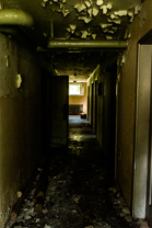 Fotos-Kranjska-Slowenien