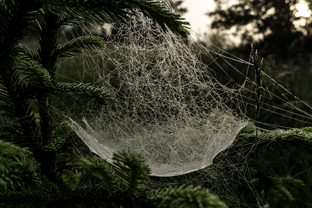 Fotos-Kranjska-Slowenien