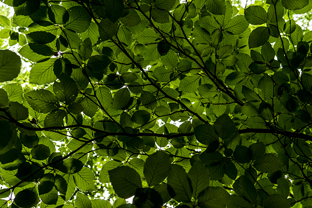 Fotos-Kranjska-Slowenien