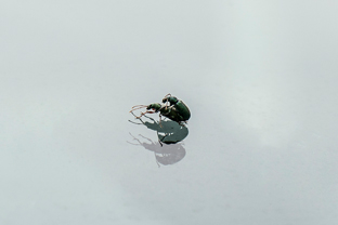 Fotos-Kranjska-Slowenien