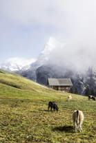 Fotos-Muerren-Schweiz