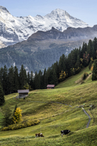 Fotos-Muerren-Schweiz