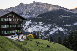 Fotos-Muerren-Schweiz