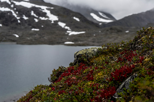Fotos-Radreise-Nordkalotte-Skandinavien