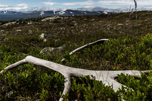 Fotos-Radreise-Nordkalotte-Skandinavien