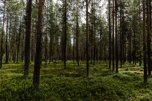 Fotos-Radreise-Nordkalotte-Skandinavien