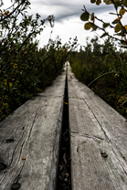 Fotos-Radreise-Nordkalotte-Skandinavien