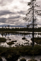 Fotos-Radreise-Nordkalotte-Skandinavien
