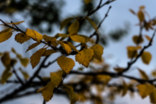 Fotos-Radreise-Nordkalotte-Skandinavien