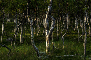 Fotos-Radreise-Nordkalotte-Skandinavien