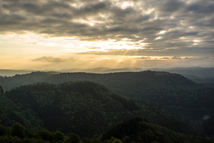 Fotos-Pfaelzer-Wald