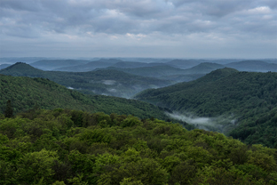 Fotos-Pfaelzer-Wald