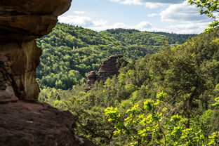 Fotos-Pfaelzer-Wald
