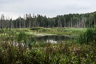 Fotos-Masurische-Seen