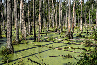 Fotos-Masurische-Seen