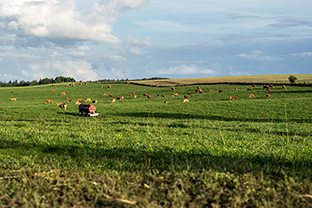 Fotos-Masurische-Seen