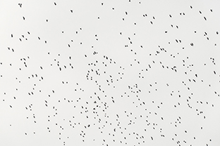 Fotos-Masurische-Seen