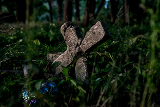 Fotos-Masurische-Seen