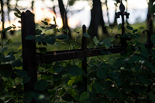 Fotos-Masurische-Seen