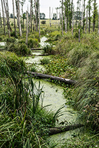 Fotos-Masurische-Seen