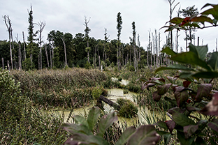 Fotos-Masurische-Seen