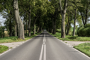 Fotos-Masurische-Seen