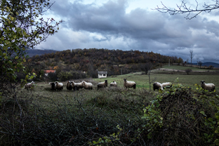 Fotos-Roadtrip-Balkan