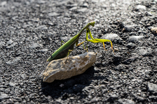 Fotos-Roadtrip-Balkan