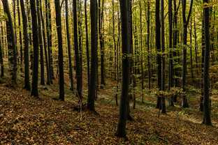 Fotos-Roadtrip-Balkan